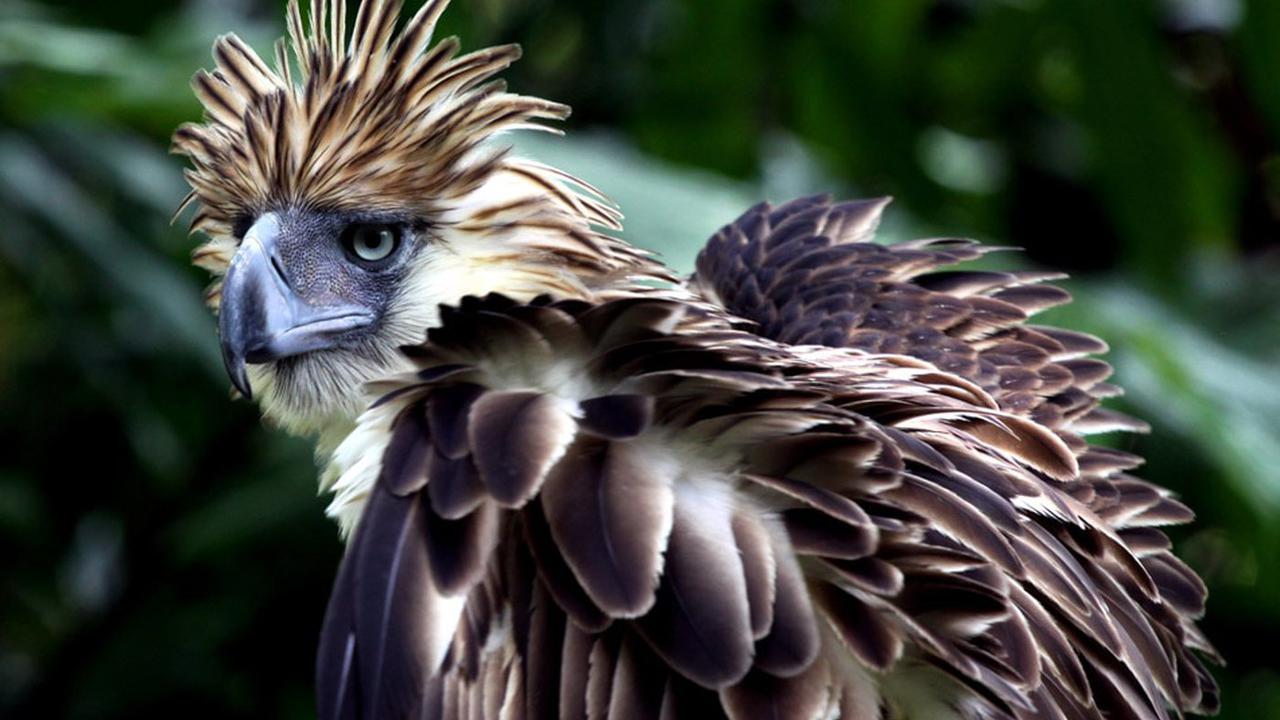 National news image 5